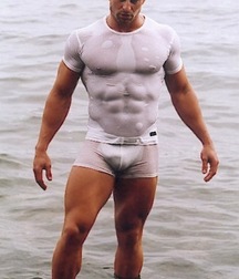 Bulges 578a5fa51c54c.jpg