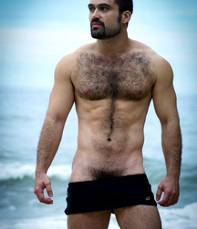 Bulges 578a5fc3b149b.jpg