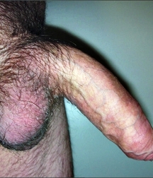 MIX № 35 579e3f7049f26.jpg