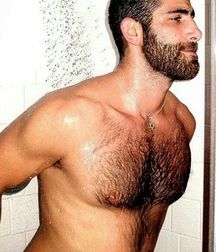 Hairy men 580a5513137fb.jpg