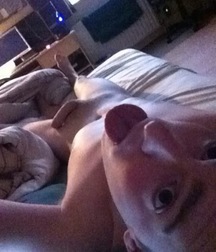 Panic Selfies Gay Porn Boys 5ed64d30d3d46.jpg