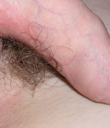 19Z - Locutus 59e465262a4c3.jpg