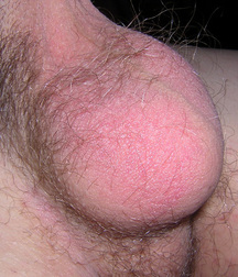 19Z - Quentin 59e466495af07.jpg