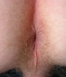 19Zone - Doroteu 59e4f6348614c.jpg