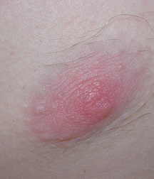 19Zone - Doroteu 59e4f66986420.jpg