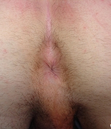 A2MG_Jarett-Fox 59e50c79c1798.jpg