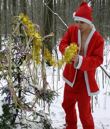 AdamsBoys-Santadan 59f04a569785b.jpg