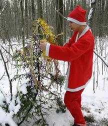 AdamsBoys-Santadan 59f04a578bf64.jpg