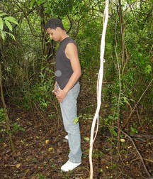 AdamsBoys-Wibaldy 59f056213e7d2.jpg