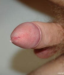 Andi 59f0cdc46320f.jpg