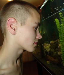 Andi 59f0ce2053b97.jpg