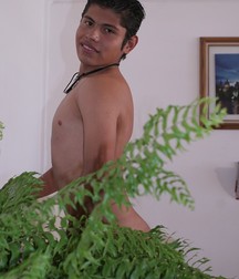 Angel 59f0d07d9fac7.jpg