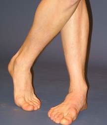 ERICK 5a2ba70a0855b.jpg