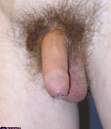 ERICK 5a2ba72250c11.jpg