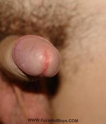 Niki 5a32a2fa3e92d.jpg