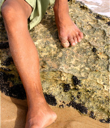 Anderson 5a379c32c940f.jpg
