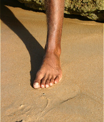 Andre 5a379e2d37762.jpg