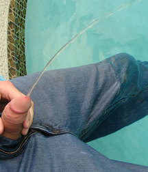 Boys Pissing Mix 5a40e7e1687e8.jpg