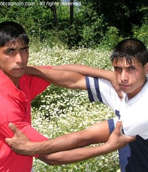 Brothers 5a44ca35614d9.jpg