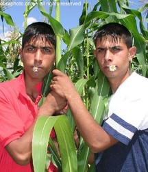 Brothers 5a44ca370dd39.jpg