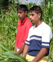 Brothers 5a44ca3aacb7a.jpg