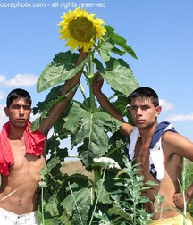 Brothers 5a44ca4165aa9.jpg
