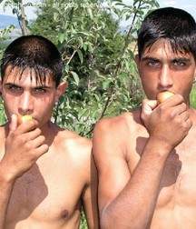 Brothers 5a44ca457abaa.jpg