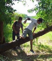 franco-alfred 5a4e574b0238d.jpg