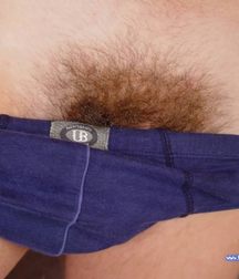 BBL Little 5a4f4aabdcfae.jpg