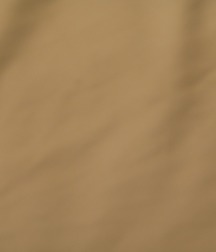 BX Sam 5a50ae4da2dc7.jpg