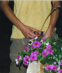 Pissing Boys 5a54ad70141fc.jpg