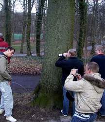 Pissing Boys 5a54ad857feb1.jpg