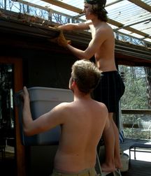 Richie 2 5a54b11a384dc.jpg