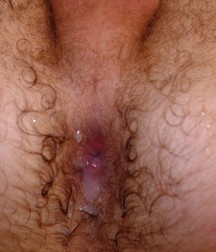 Archie_Kostya 5a759d8fbf116.jpg