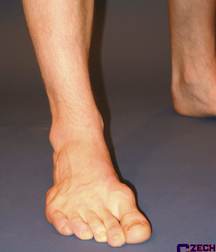 Eric 5a800ddbd3b21.jpg