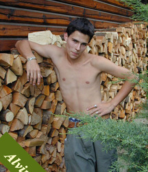 Alvin 5a8410c032b2f.jpg