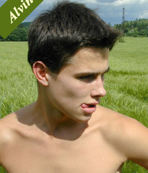 Alvin 5a8410e98f9bd.jpg