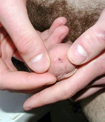 Jura 5a854a83be2ba.jpg