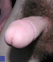 Jura 5a854aa13b30e.jpg