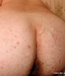 John_Evil_Bear 5a8c0edecfc2a.jpg
