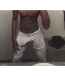 The bulge 5c34483df21e9.png