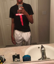 The bulge 5c344859041b0.png