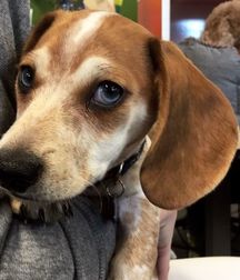 Nick Vedovi 58d03a06e46a5.jpg