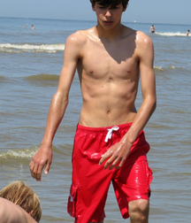 Beach boys 58406d35800da.png