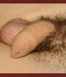 Duc a tender boy. 5a8c74862bbc6.jpg