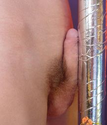 Sexy boys. 5ab01ab64c78e.jpg