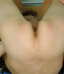 Sergey a beautiful smooth body. 5b1ec57dbcda3.jpg