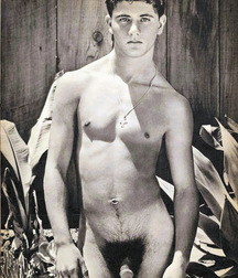 vintage bush gay tube 6035430721030.jpg