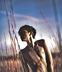 I Can See For Miles 5792a534afdcb.jpg