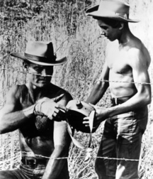 Johnny Crawford 57ccb43717e97.jpg
